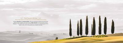 DRK Bellagio Brochure 5