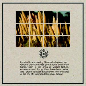 Golden Grass Brochure 3