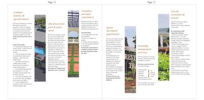 IAP Forest Trail Phase 1 Brochure 9