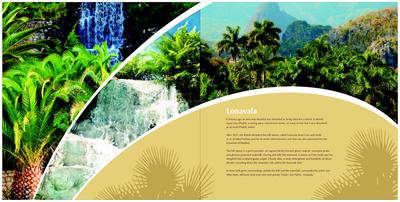 Sun Palms Brochure 2