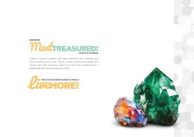 Siddhashila Treasure Troves Brochure 31