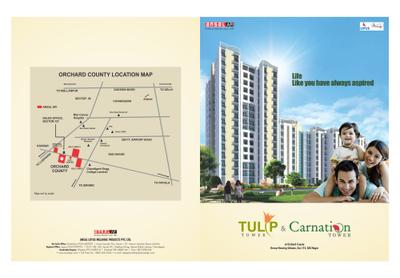 Ansal API Tulip and Carnation  Brochure 1