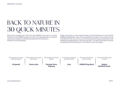 The Blue Oak Brochure 8