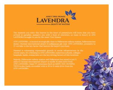ATH Lavenda Brochure 5