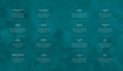 The Lutyens Brochure 25
