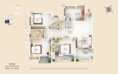 SFS Olympia Brochure 6