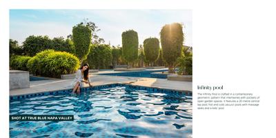 True Blue Napa Valley Brochure 22