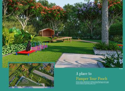 Western Springs Brochure 14