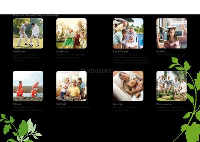 Adani The Evergreen Brochure 14