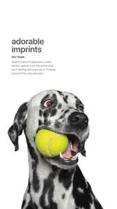 Canvas Brochure 31